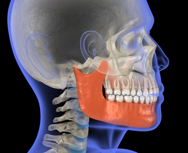 Three dimensional rendering of jaw and skull bone